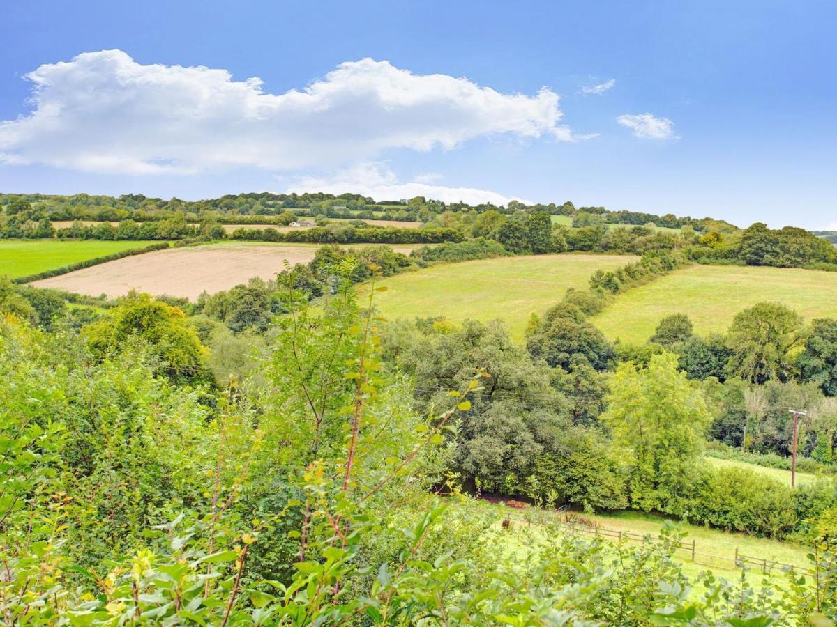Hill View Holiday Home With Garden Тонтон Экстерьер фото
